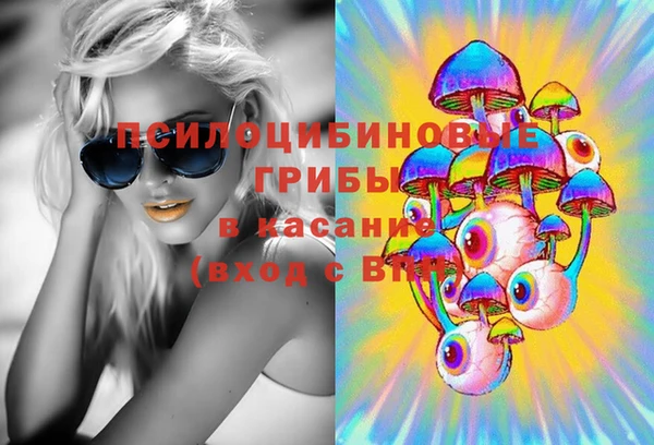 ECSTASY Богородск