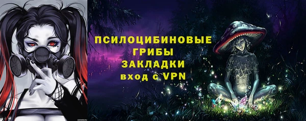 ECSTASY Богородск